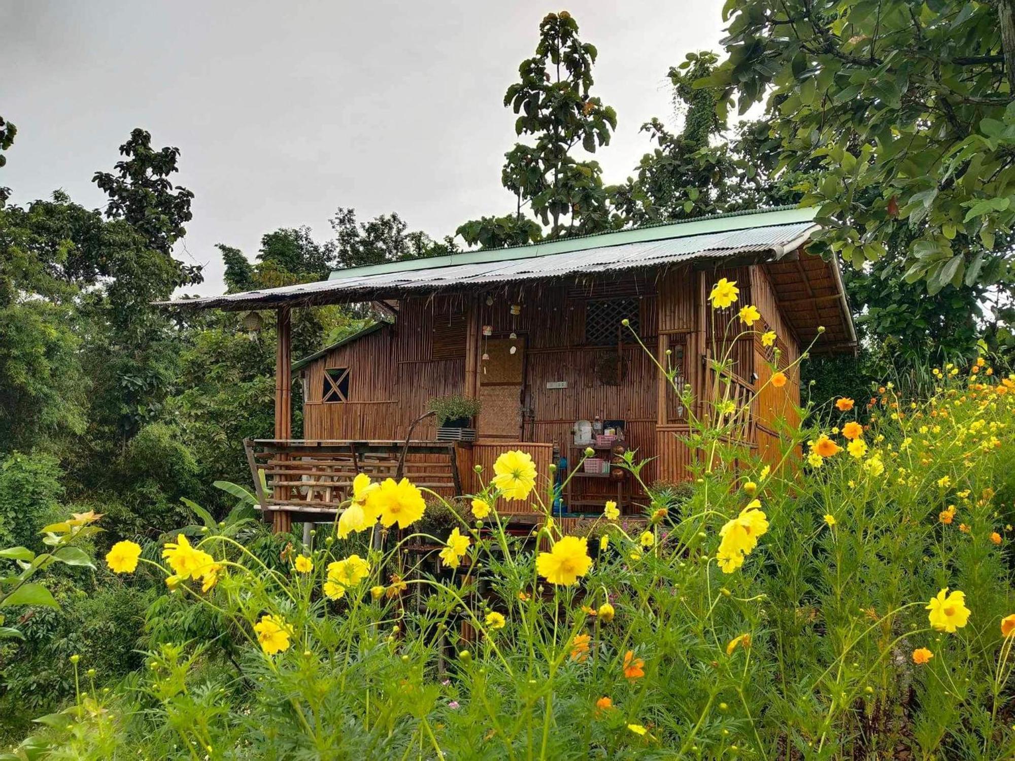 Baan 2 Dao Farmstay Chiang Dao Exterior foto